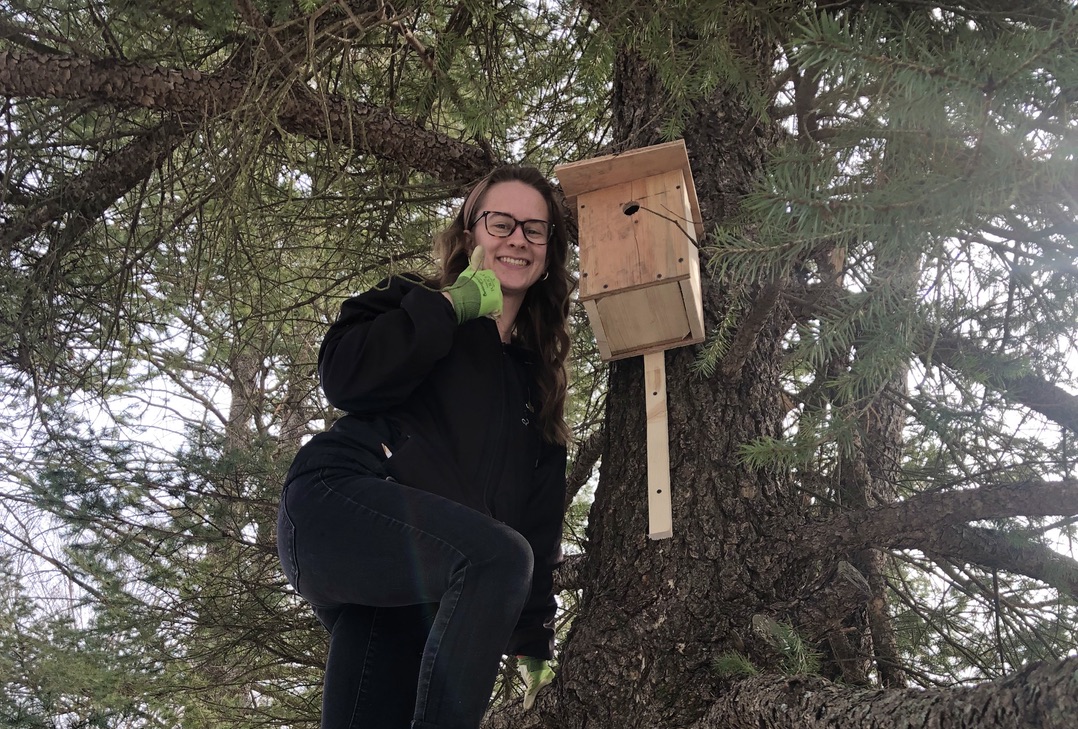 evelyn in a tree