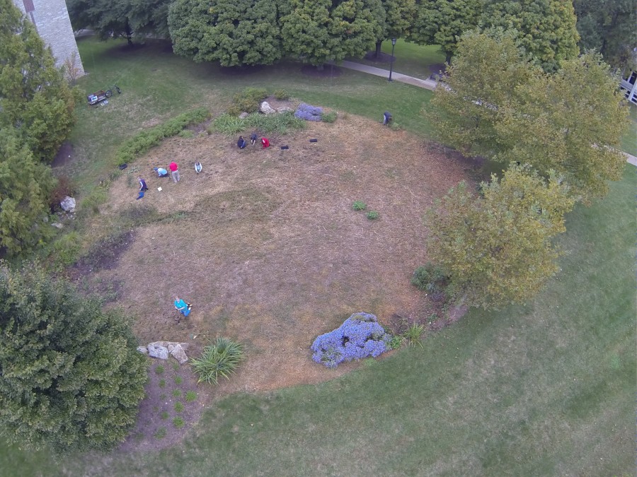 bird's eye view of the rain garden