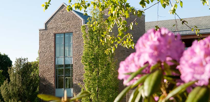 A view of the Doering Center past purple rhododendron flowers