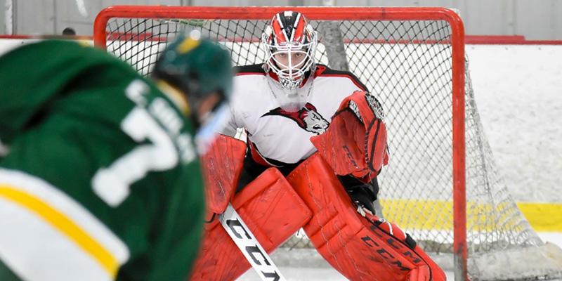 Lions hockey goalie stares down the opposing team.