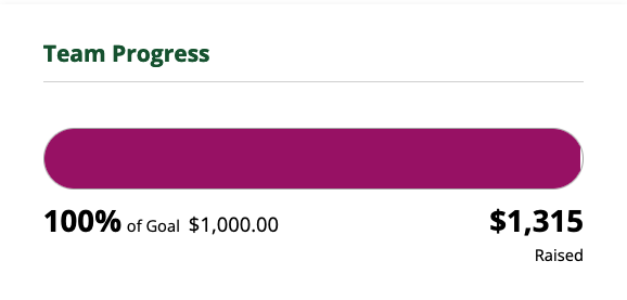 Graph of donation drive progress