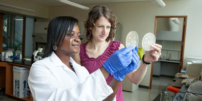 Bryn Athyn College science professor and student in the lab, holding up agar dishes and observing them.