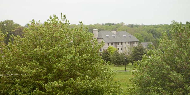 A view of the suites through lush green trees