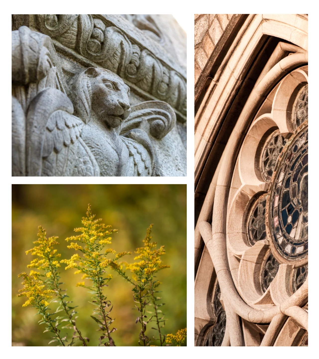 campus details examples